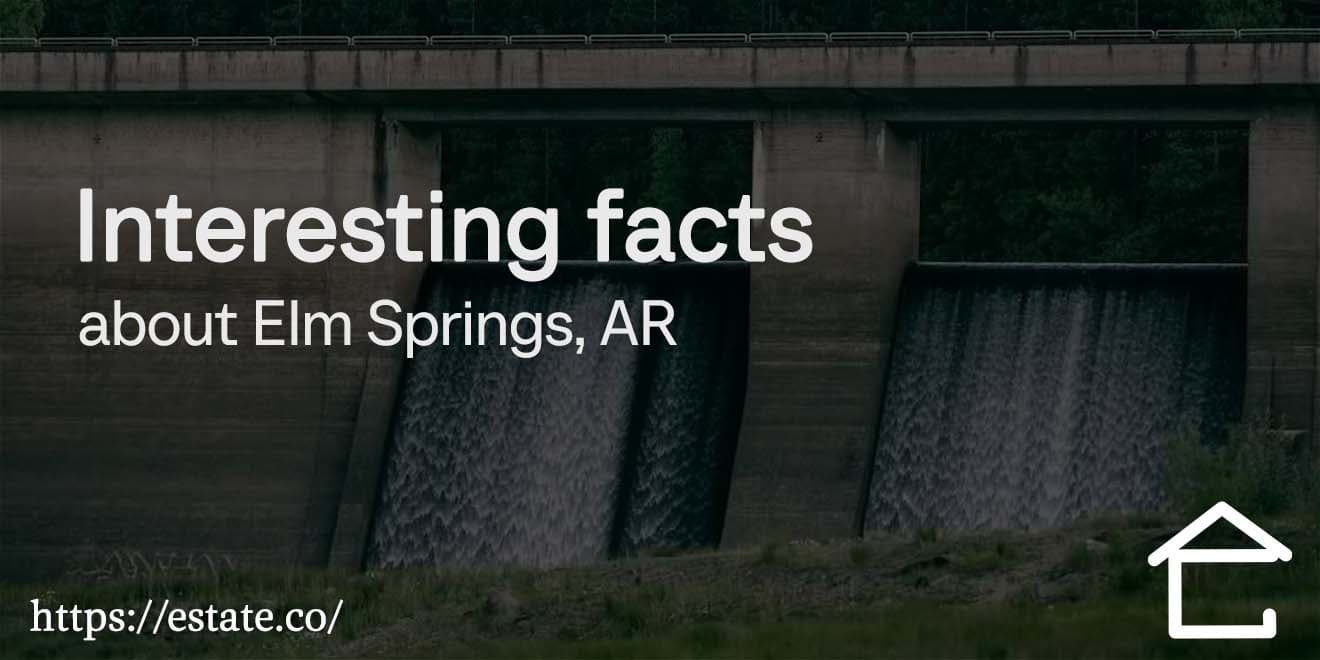 Elm springs